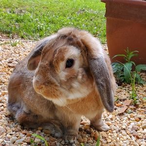 Meet your Posher, Karlie